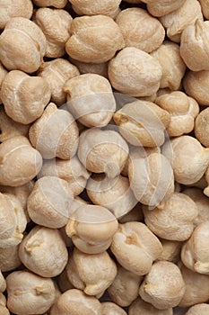 Garbanzo beans, chickpeas photo