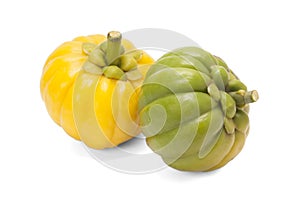 Garcinia Cambogia