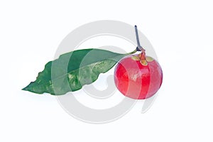 Garcinia cowa Roxb Fruit, Madan red isolated on white background with clipping path