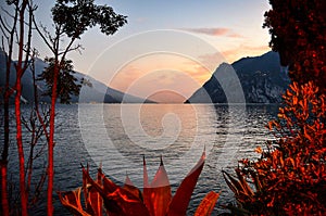 garda lake in the evening with sunset, cliff, mountains and red lighted agaves and plants