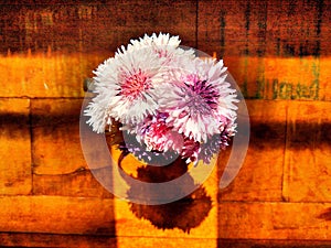 Garde flowers on a table.