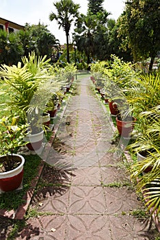 Garden