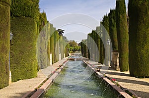 Garden of the Alcazar de los Reyes Cristianos photo