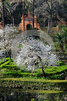 Garden of Alcazar palace, Seville, Andalusia, Spain