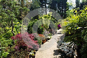 Garden of Alexander Thomas