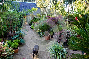 Garden of Alexander Thomas