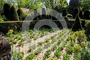 Garden of Alexander Thomas