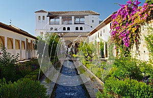 Garden of alhambra