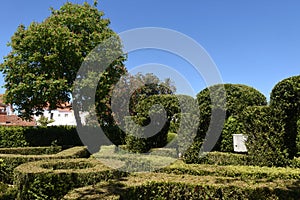 Garden of Alter Do Chao, Beiras region photo