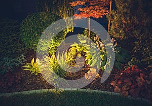 Garden Ambient Lighting photo