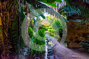 Garden of the ancient necropolis of Kellah Chellah in the city of Rabat, Morocco