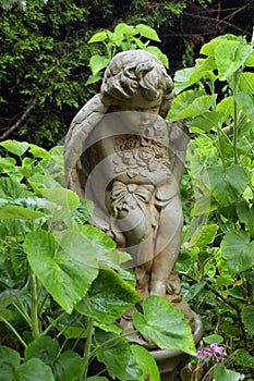 Garden Angel