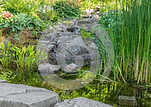 Garden with aquatic plants, pond and decorative stones