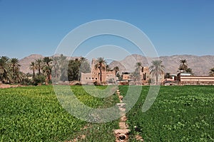 The garden in arab village close Najran, Asir region, Saudi Arabia