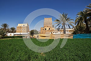 The garden in arab village close Najran, Asir region, Saudi Arabia