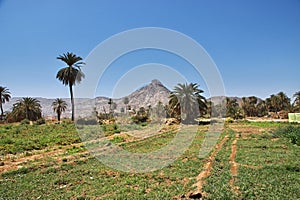 The garden in arab village close Najran, Asir region, Saudi Arabia
