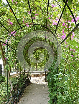 Garden Arbor