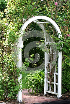 Garden Arbor