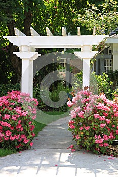 Garden arbor and pink flowers.