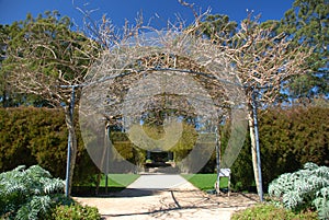 Giardino arco 