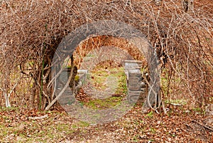 Garden Arch