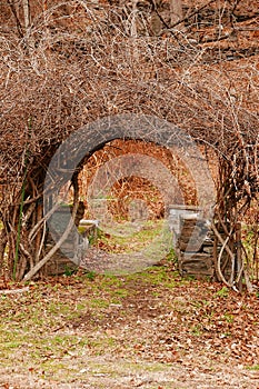 Garden Arch