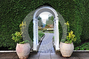 Garden arch and path