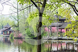 Garden architecture and The peach blossom