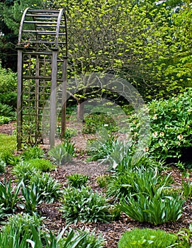 Garden with Archway