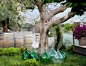 Garden area of a picturesque vineyard with huge wine bottles and wine barrels. Wine casks and set of different empty wine bottles