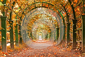 Giardino sul autunno 