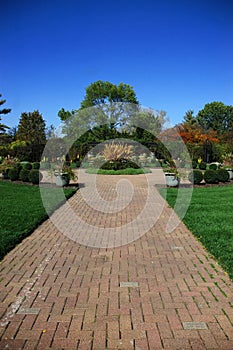 Garden in Autumn