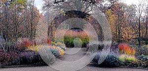 Garden in Autumn colours