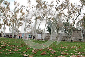 Garden in autumn in Topkapi palace, Istanbul, Turkey