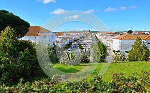 The garden and the avenue seen from the castle photo