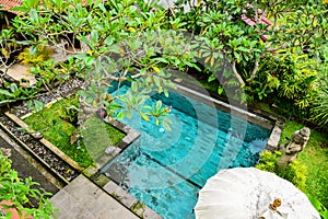 Garden on back yard with swiming pool