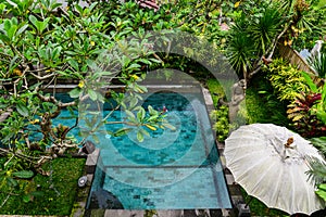 Garden on back yard with swiming pool