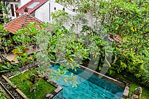 Garden on back yard with swiming pool