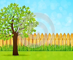 Garden background with green tree and wooden fence