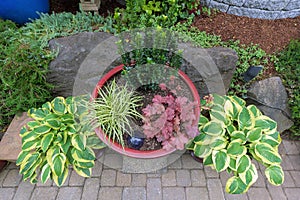 Garden Backyard Container Pots Planting Top View