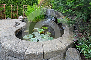 Garden Backyard Pond with Waterfall