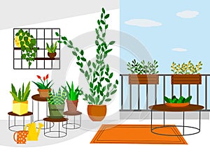 Garden on the balcony with flowers in pots and on shelves.