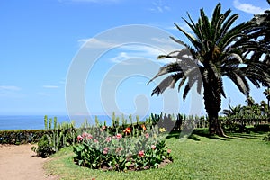 Public Park in Barranco in Lima photo