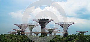 Garden by the bay park landscrap