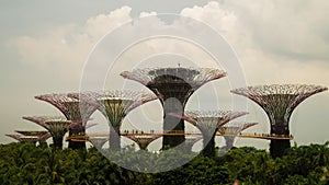 Garden by the bay park Singapore landmark