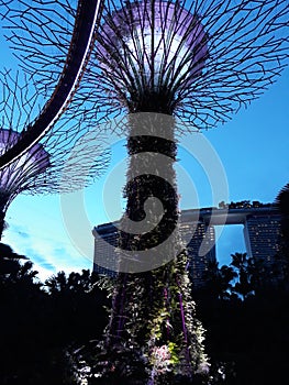 Garden by The Bay Singapore