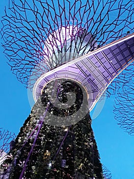 Garden by The Bay Singapore