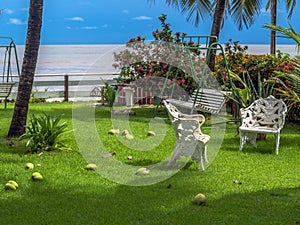 Garden on the beach