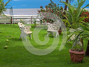 Garden on the beach