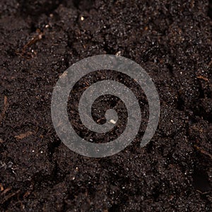 Garden beds of fertile soil close-up